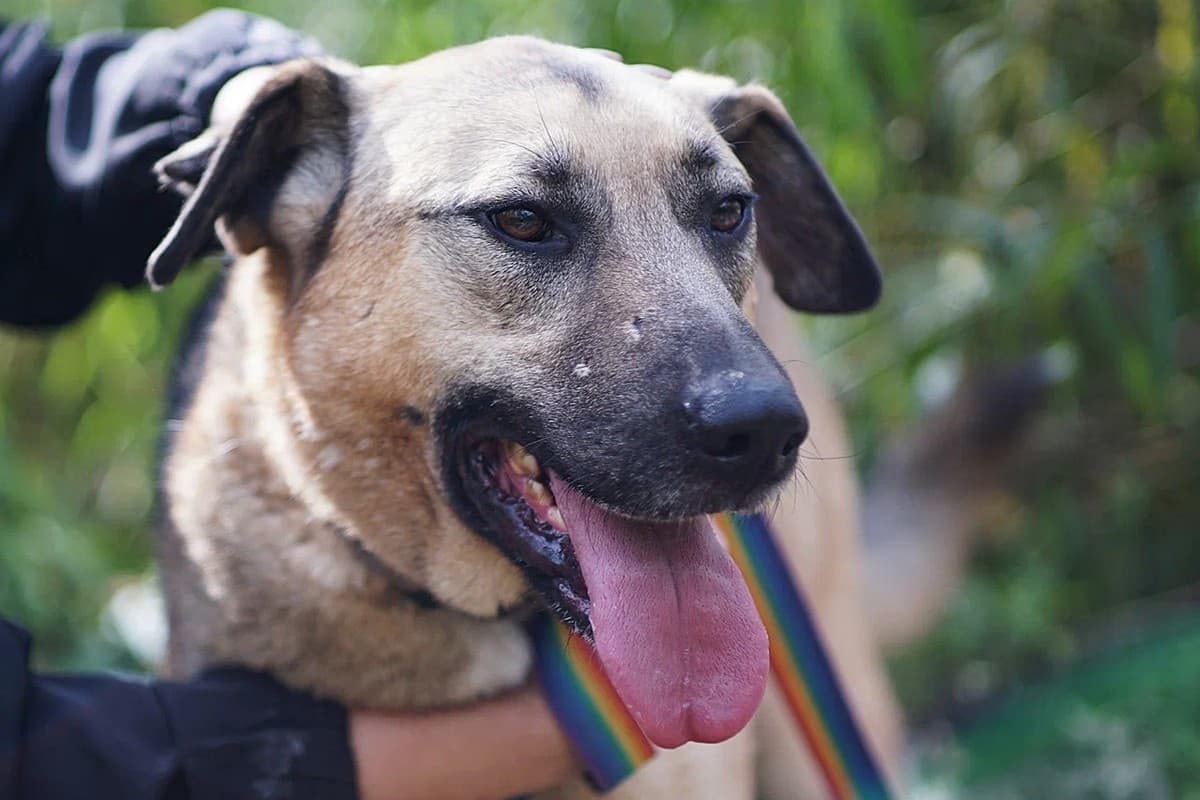 Урал медиа 6