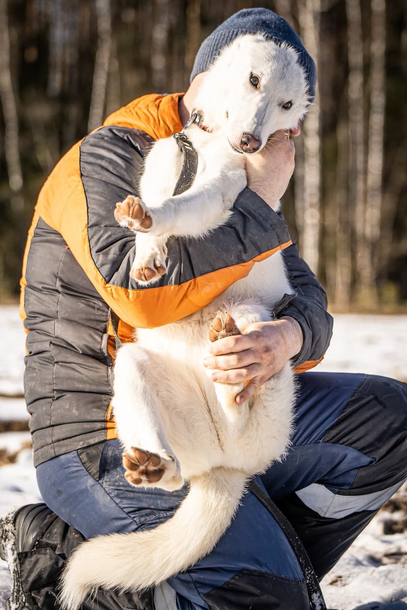 Ванда медиа 9