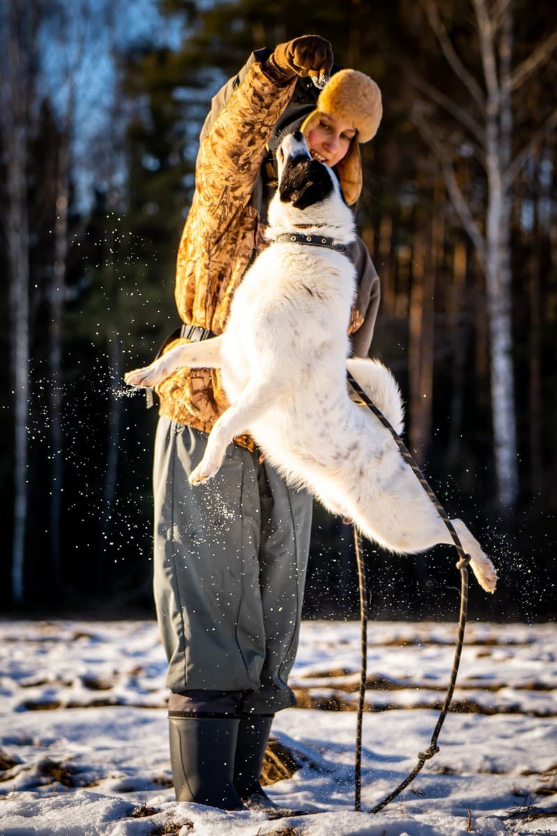 Ласка медиа 7