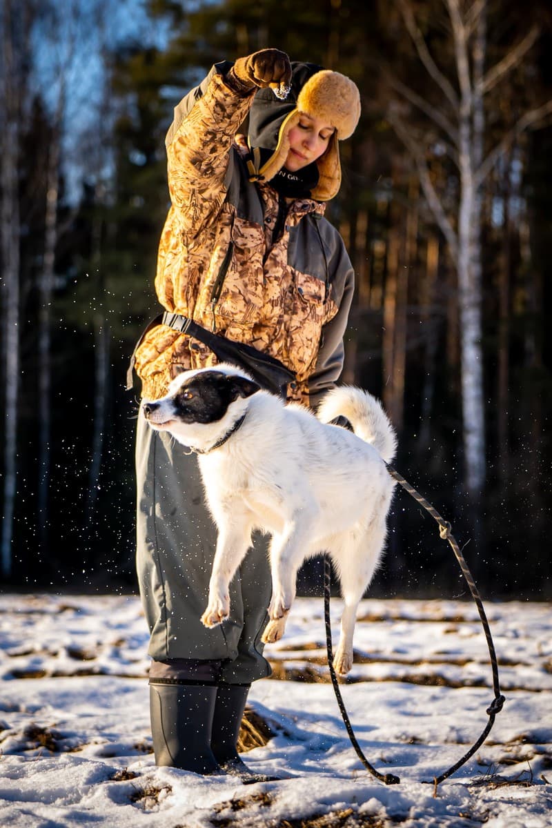 Ласка медиа 5