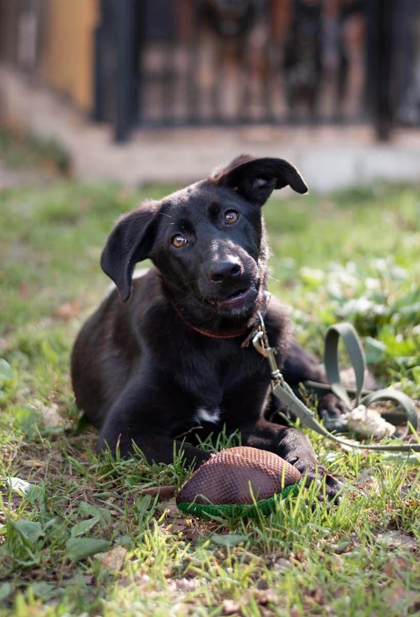 Скай медиа 7