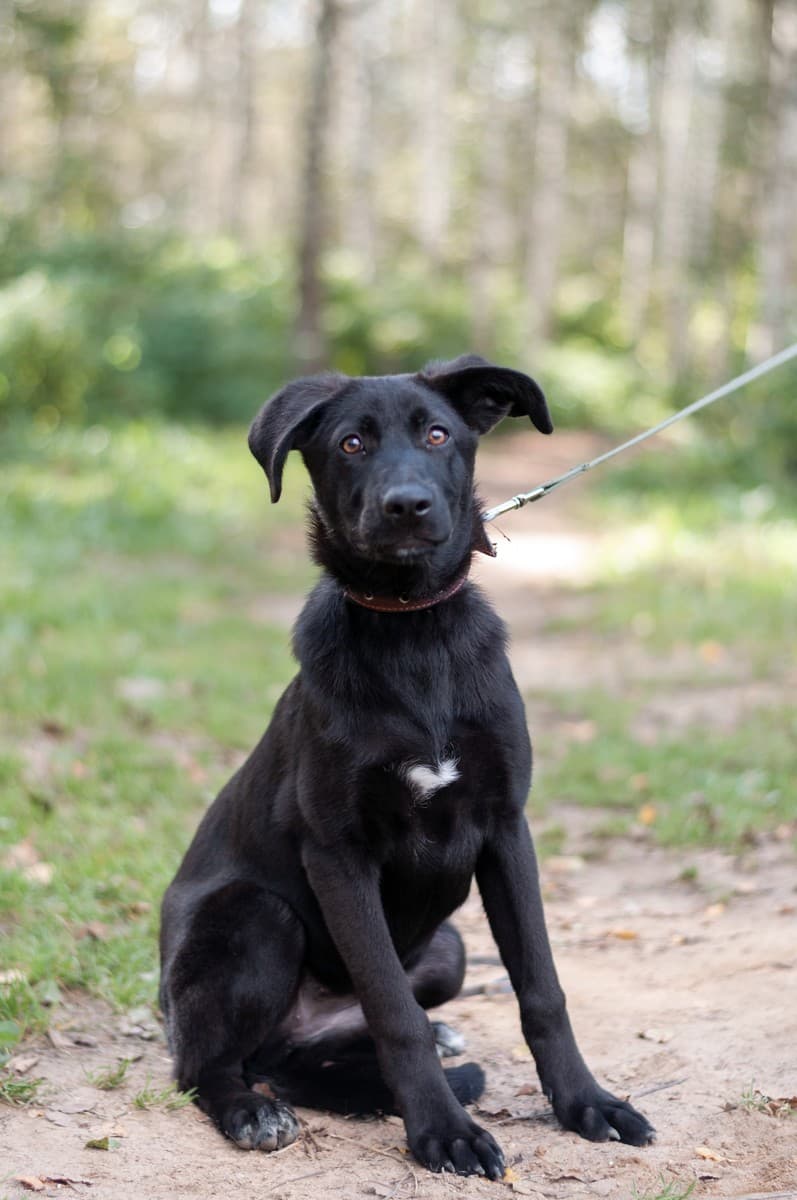 Скай медиа 10