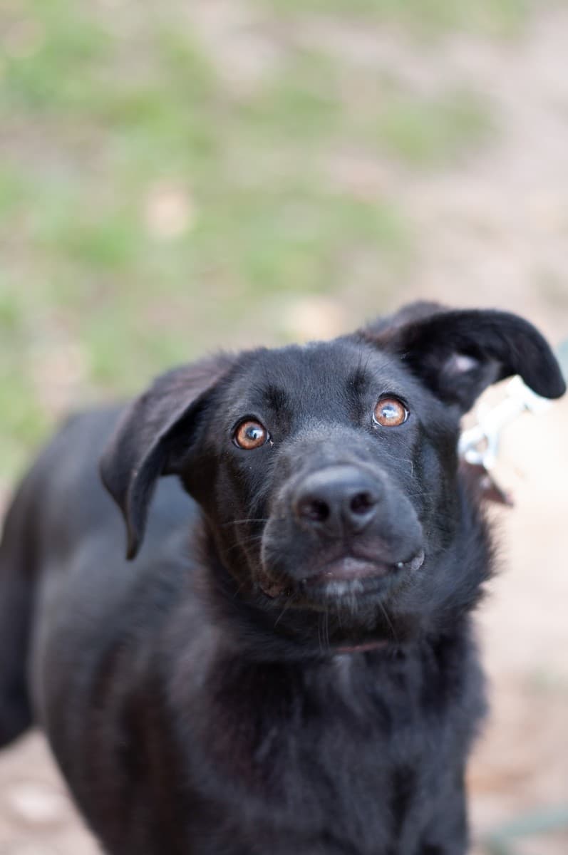 Скай медиа 9