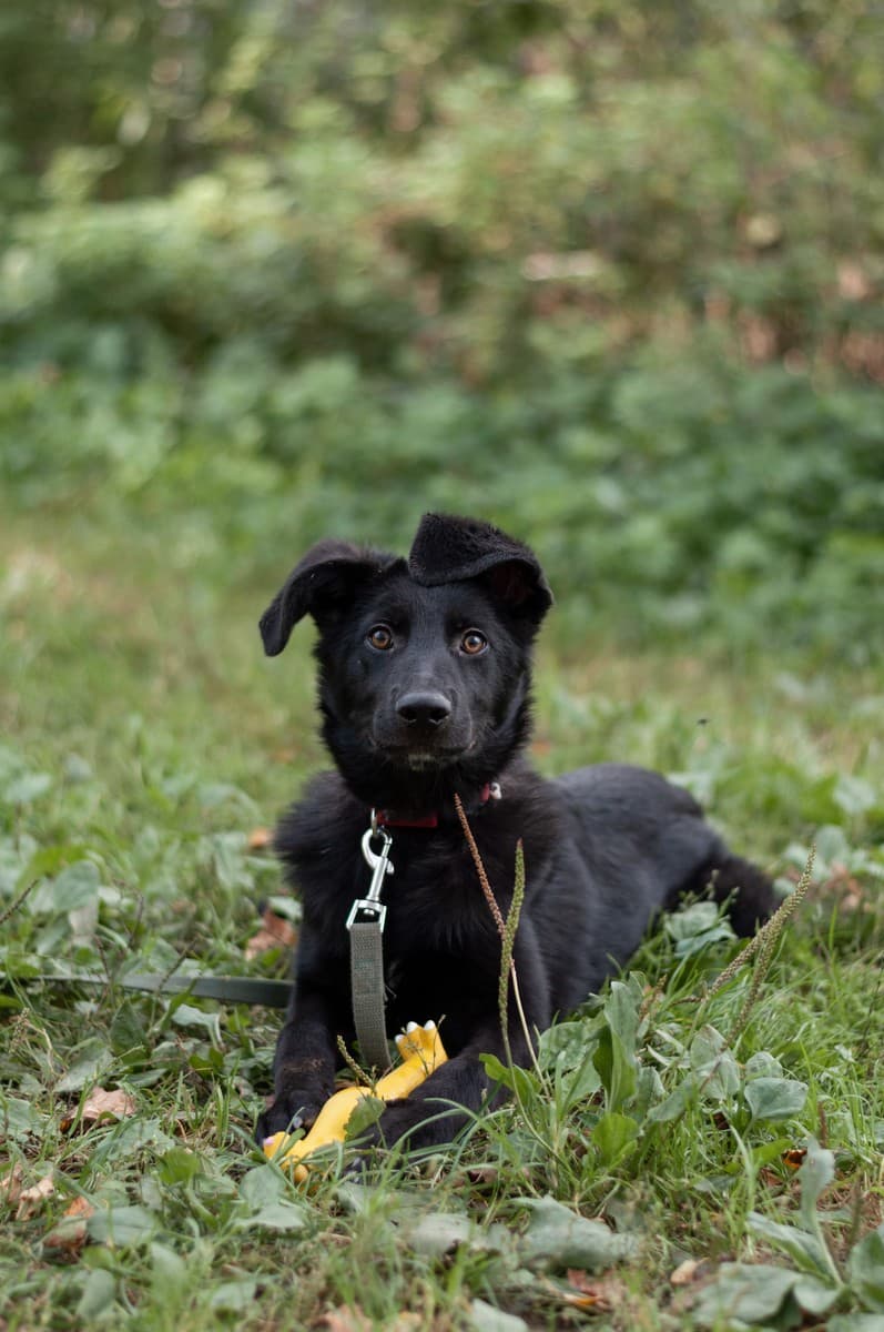 Мазда медиа 7