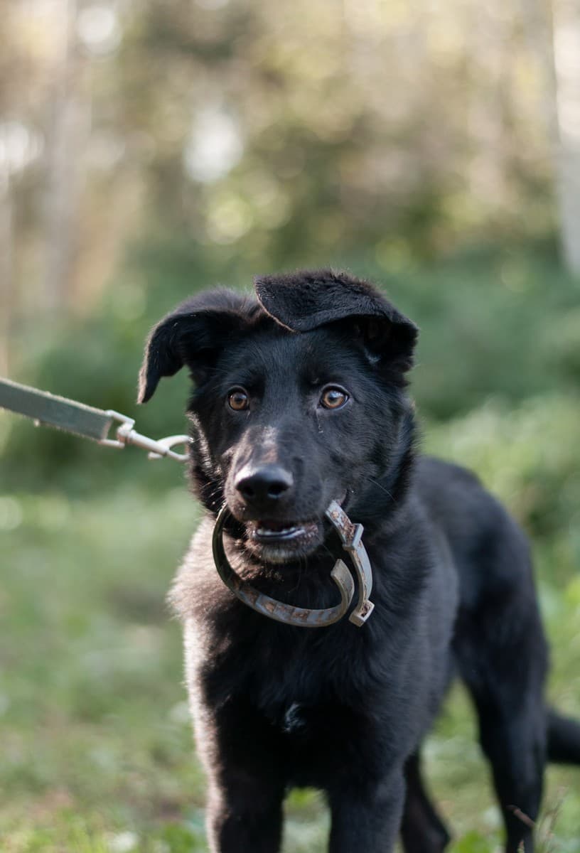 Мазда медиа 8