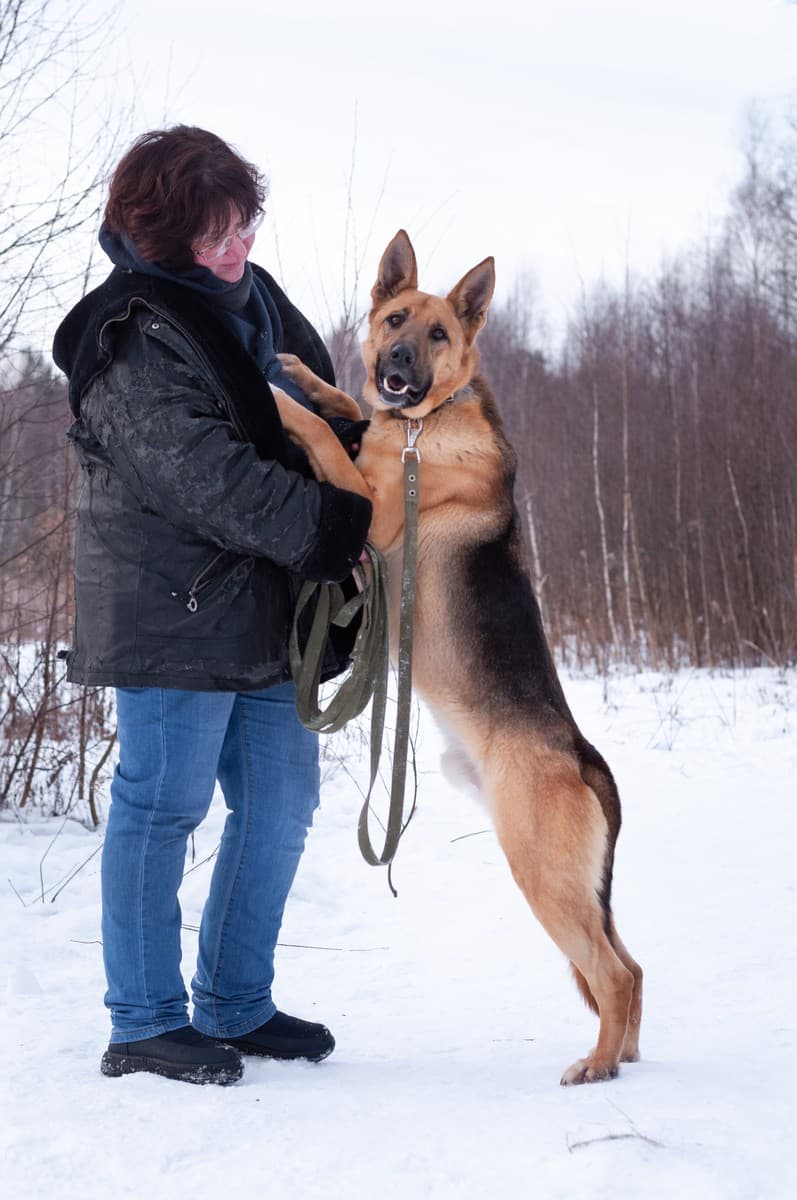 Ерёма медиа 7