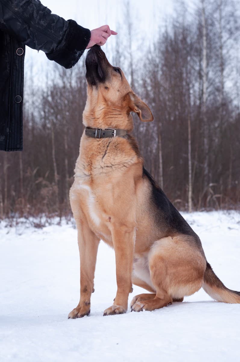 Ерёма медиа 8