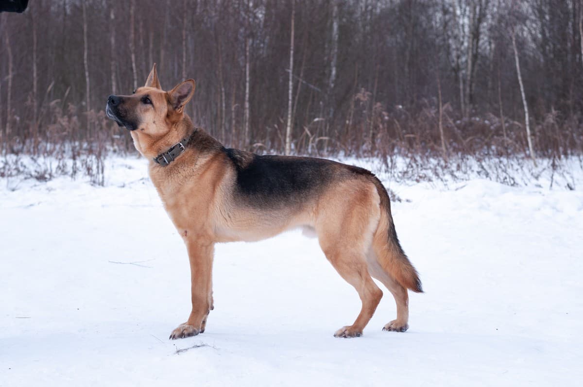 Ерёма медиа 5