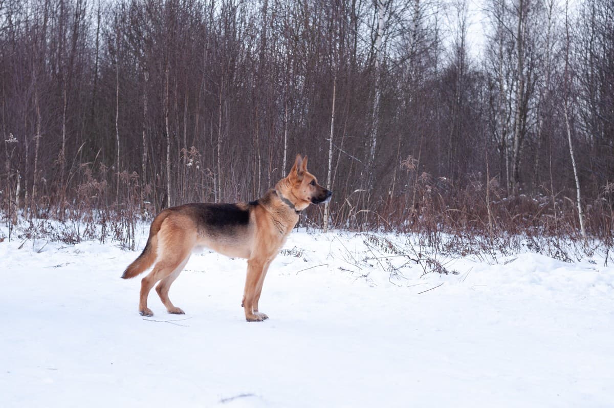 Ерёма медиа 10