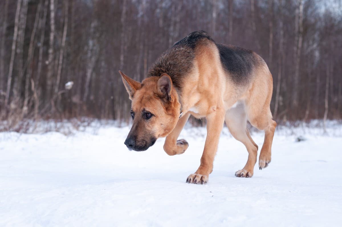 Ерёма медиа 9