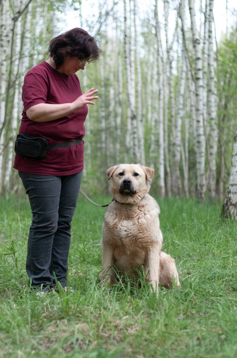 Боцман медиа 7