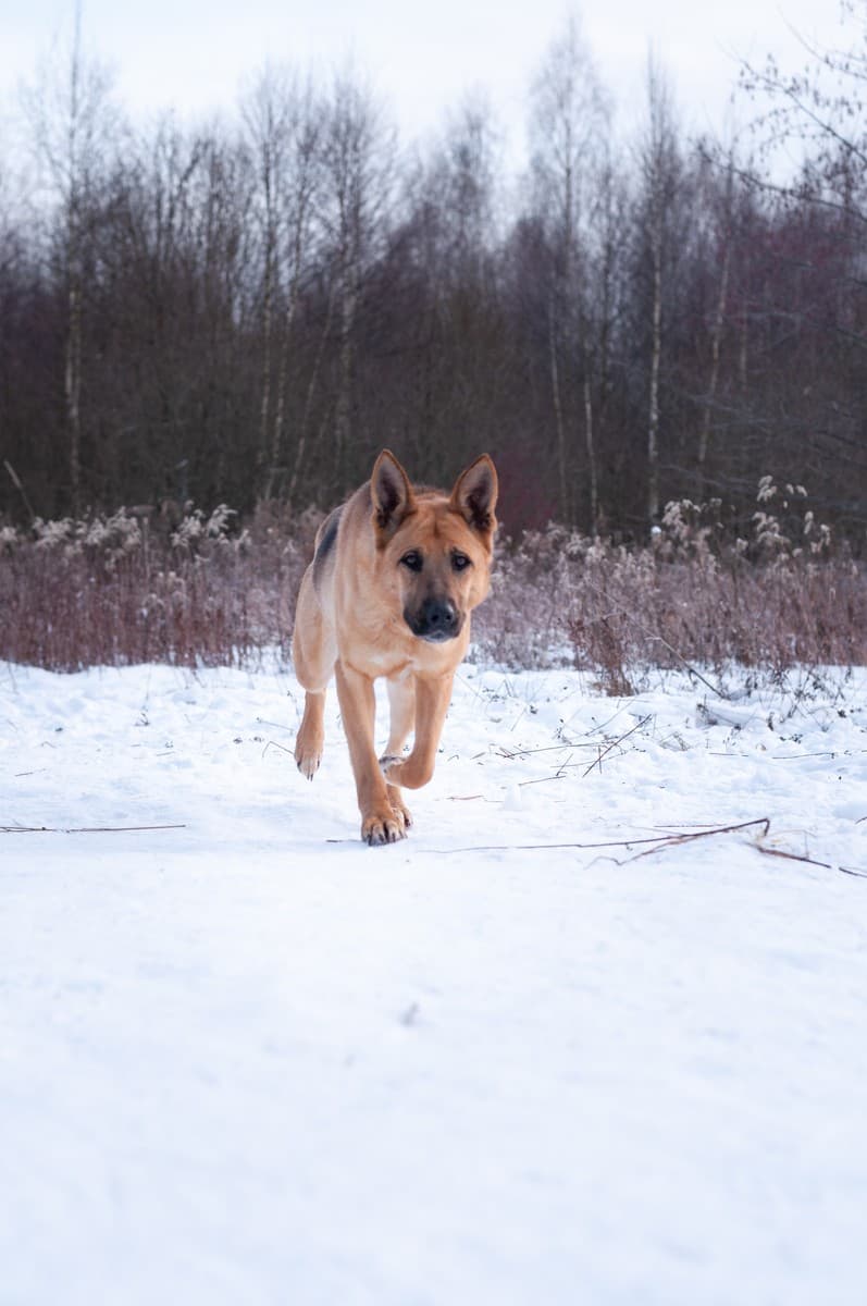 Ерёма медиа 6