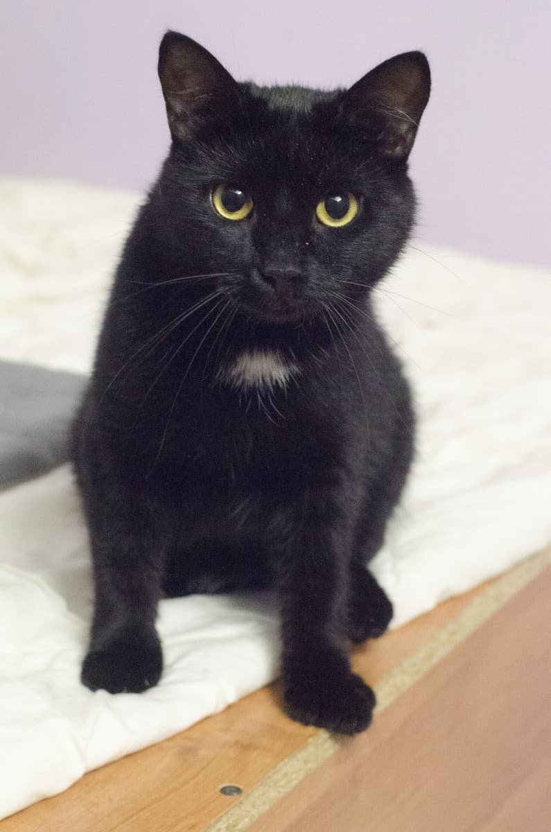 ПТИЧКА медиа 6