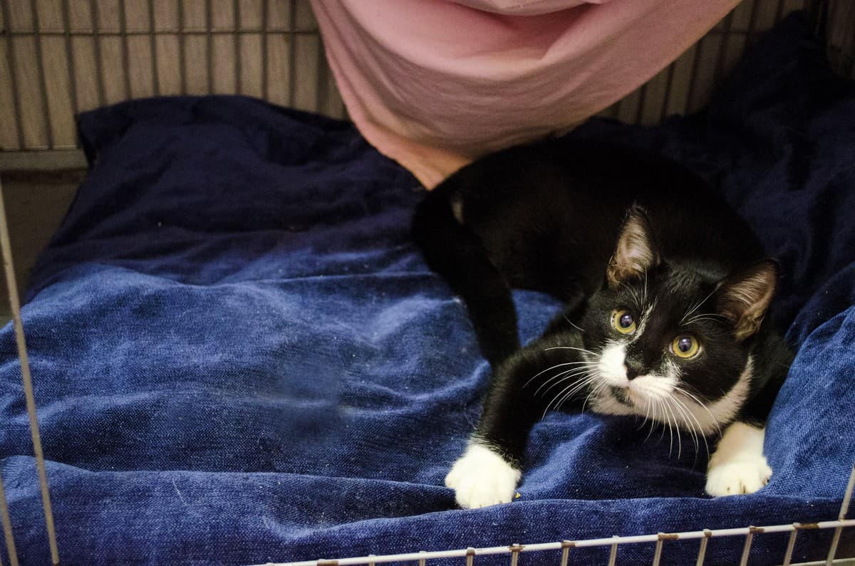 ФУНТИК медиа 2