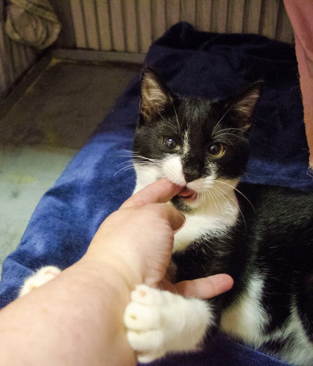 ФУНТИК медиа 3