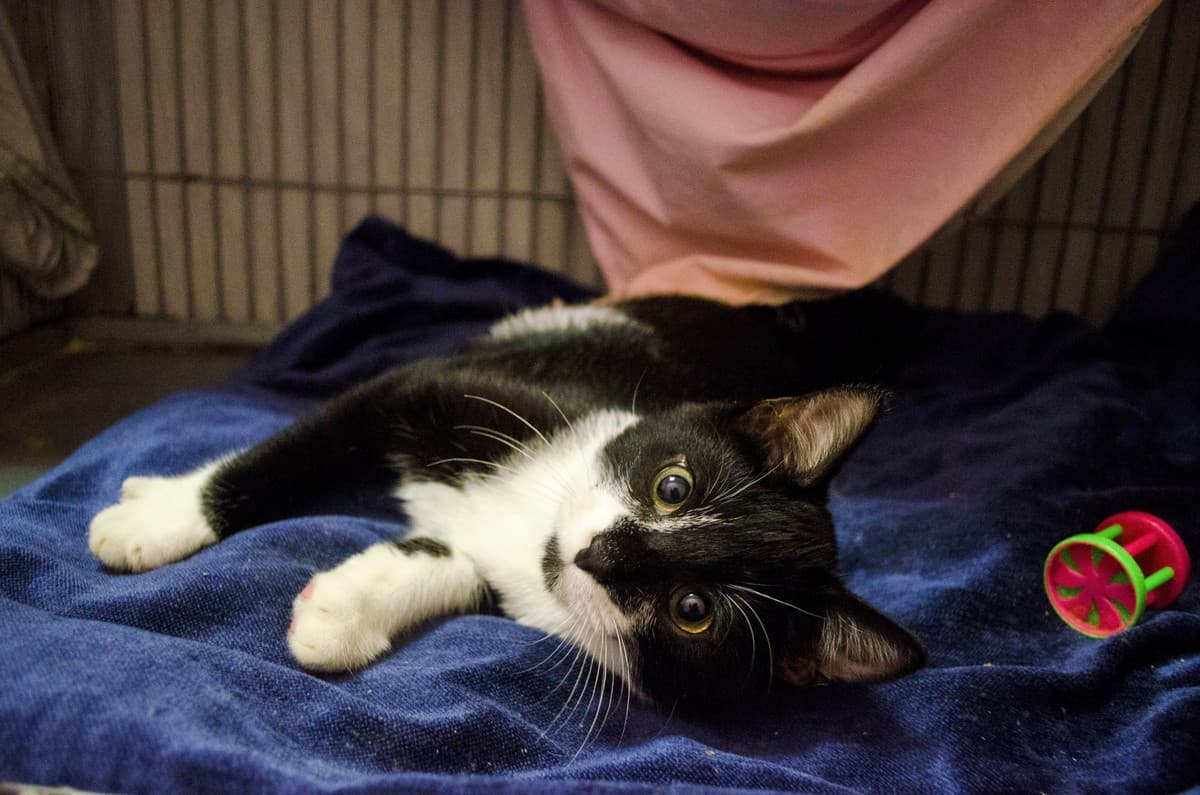 ФУНТИК медиа 4