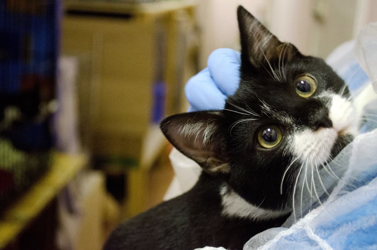 ФУНТИК медиа 5