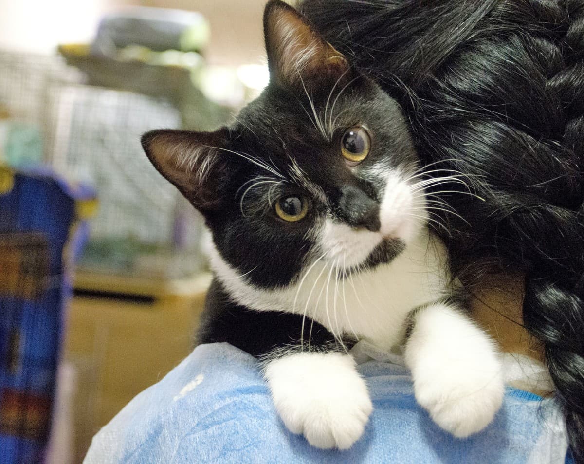 ФУНТИК медиа 6