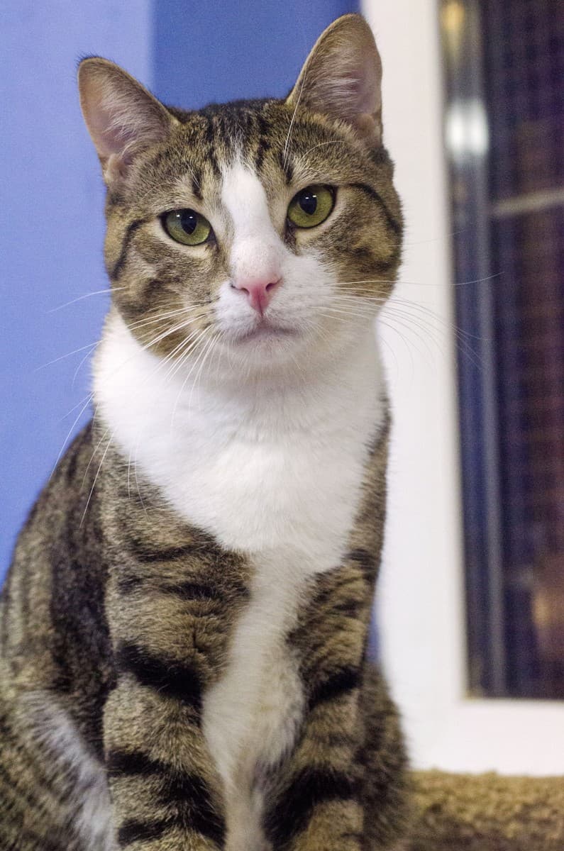 КНОПИК медиа 6