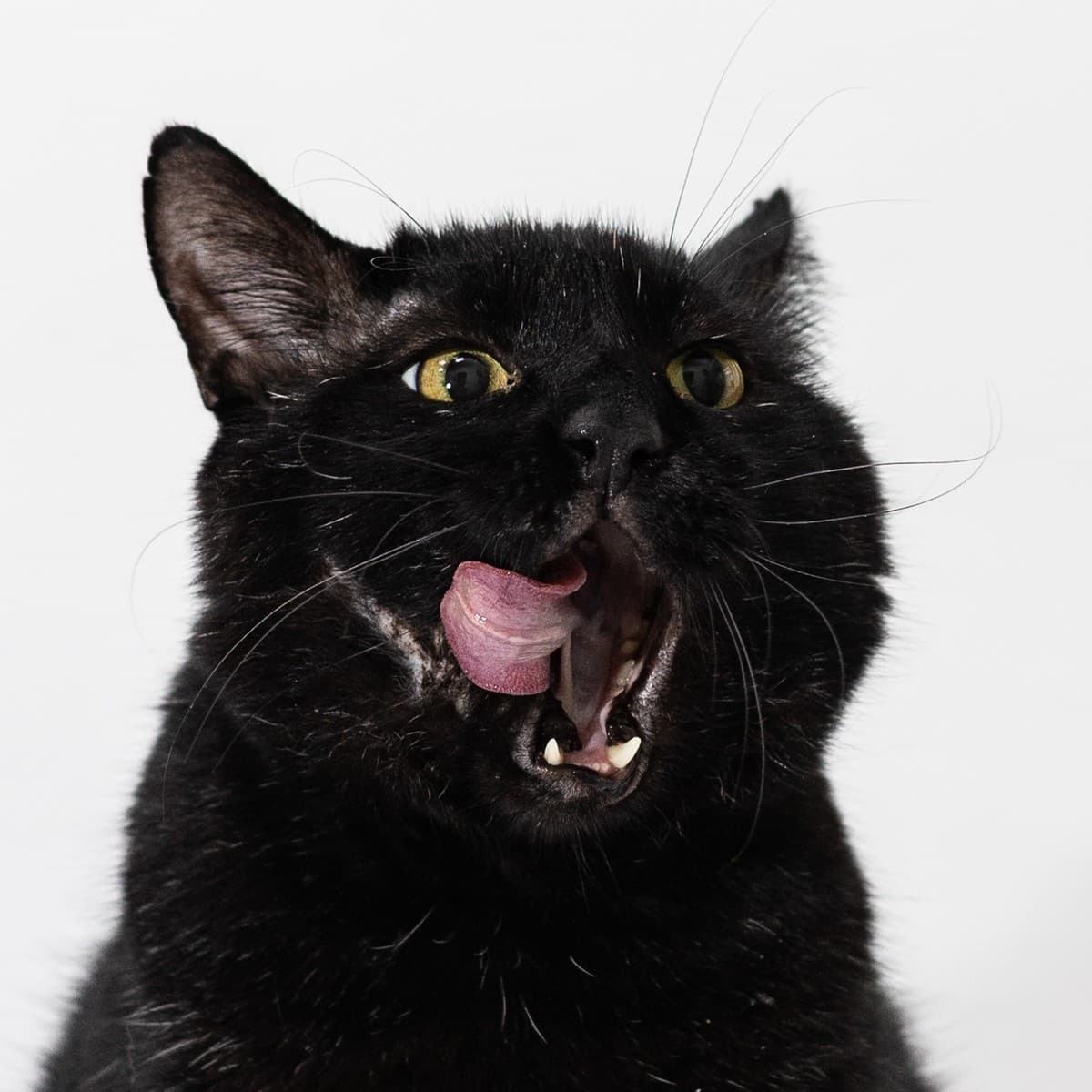 Вася медиа 5