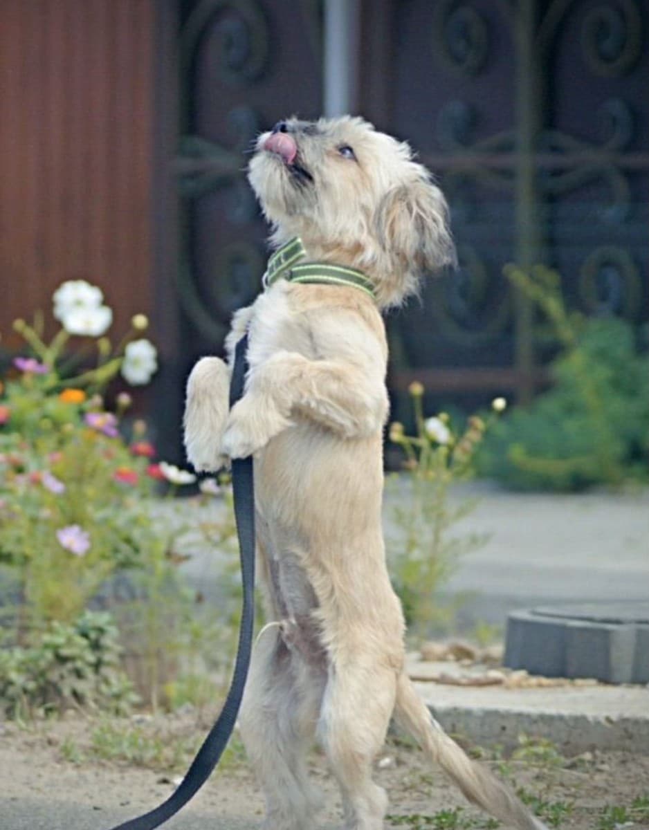 Роджер медиа 2