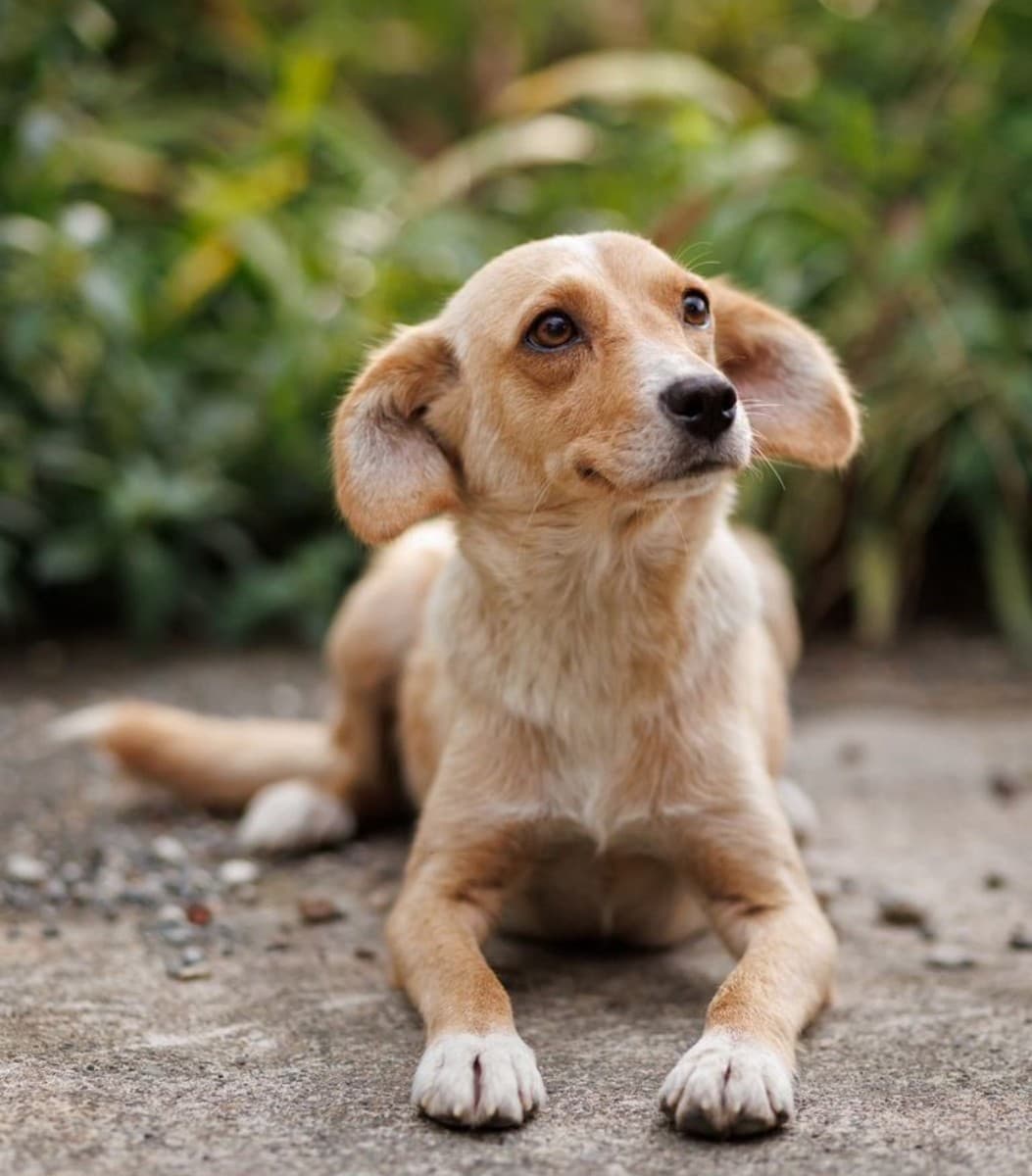 Моня медиа 3