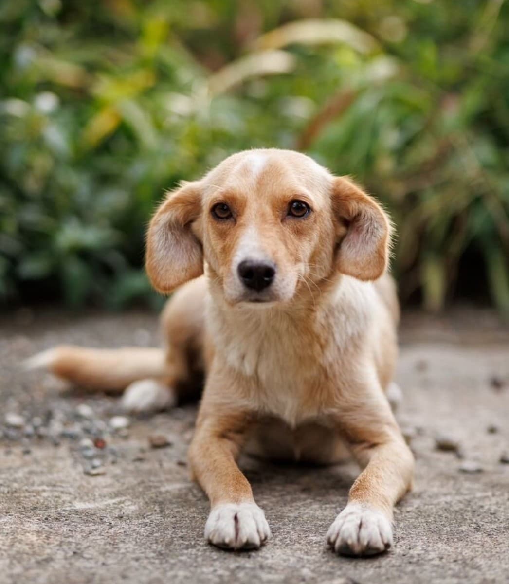 Моня медиа 2