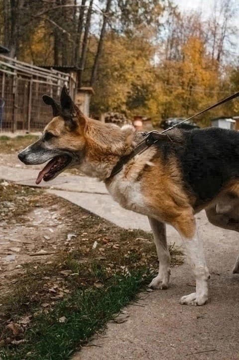 Джек медиа 2