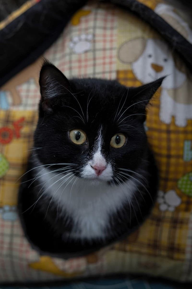 Бейс медиа 2