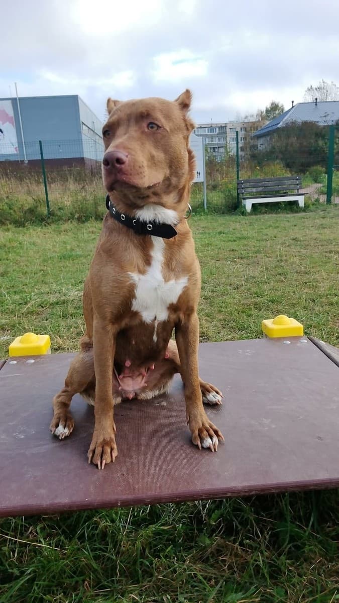 Венера медиа 2