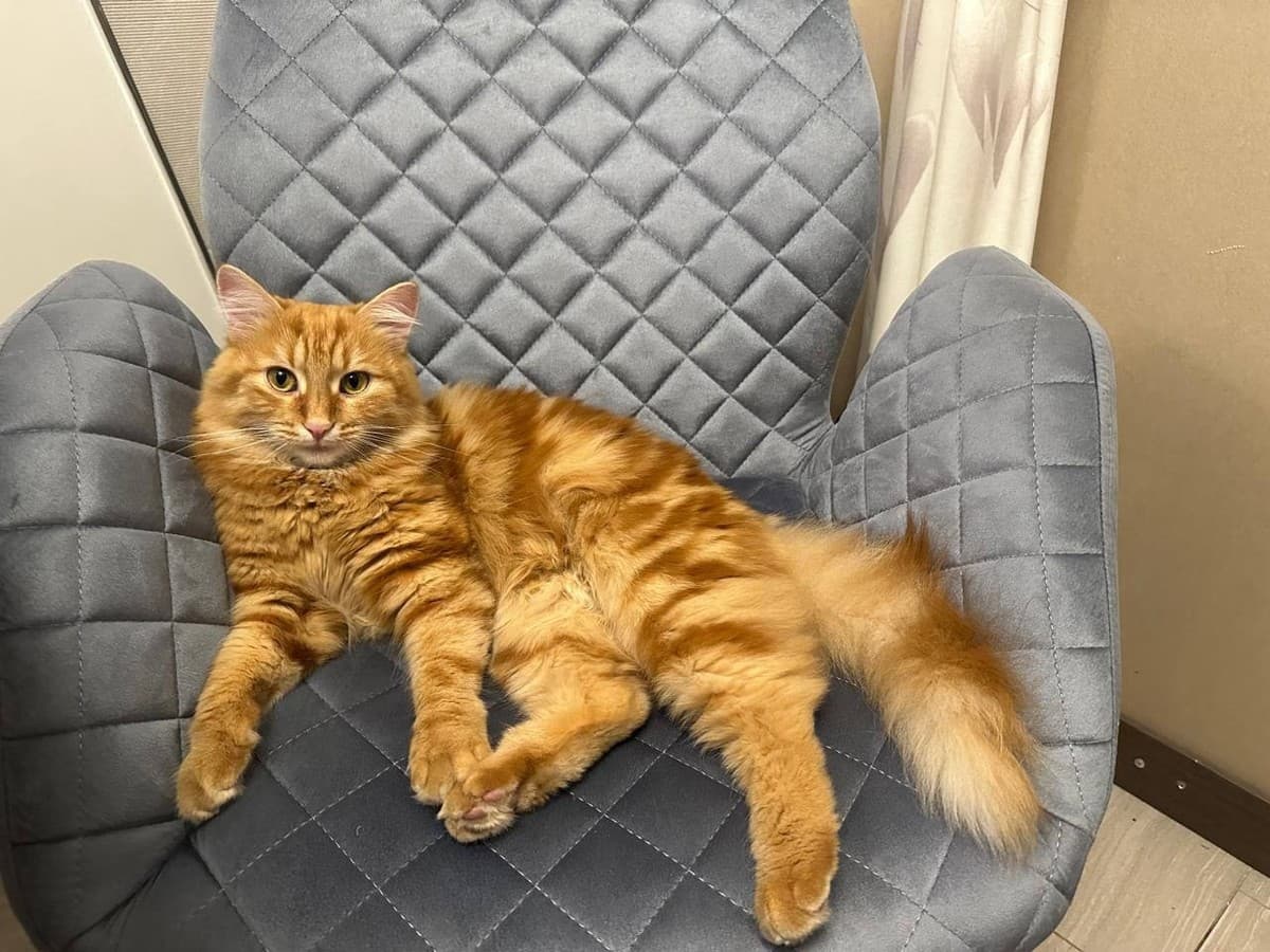 Заря медиа 2