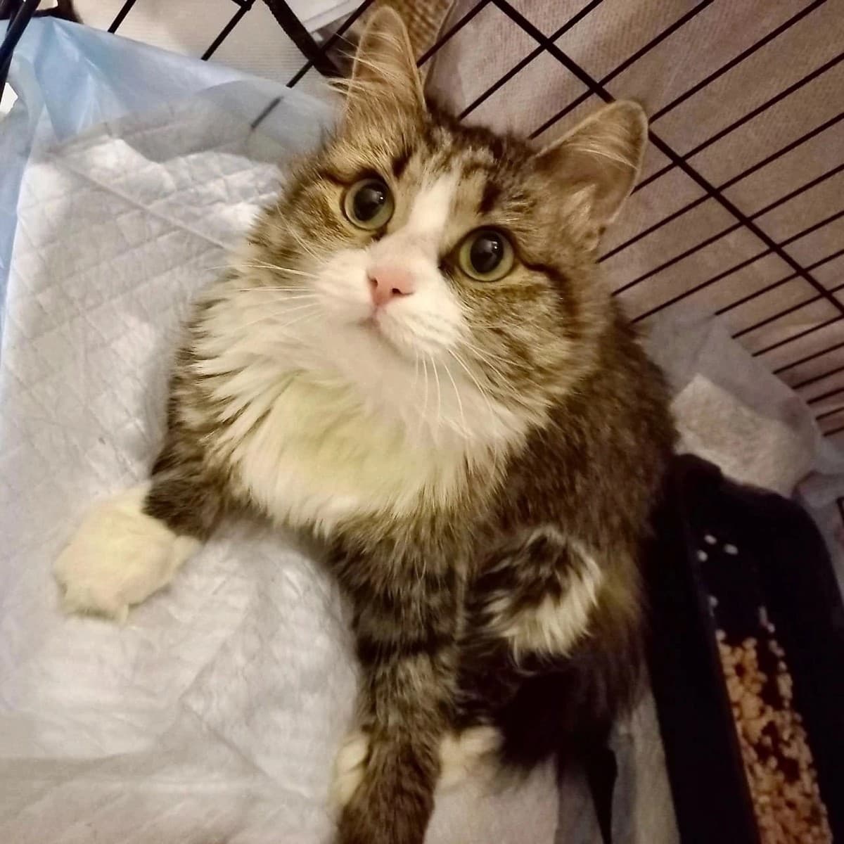 Василина медиа 2