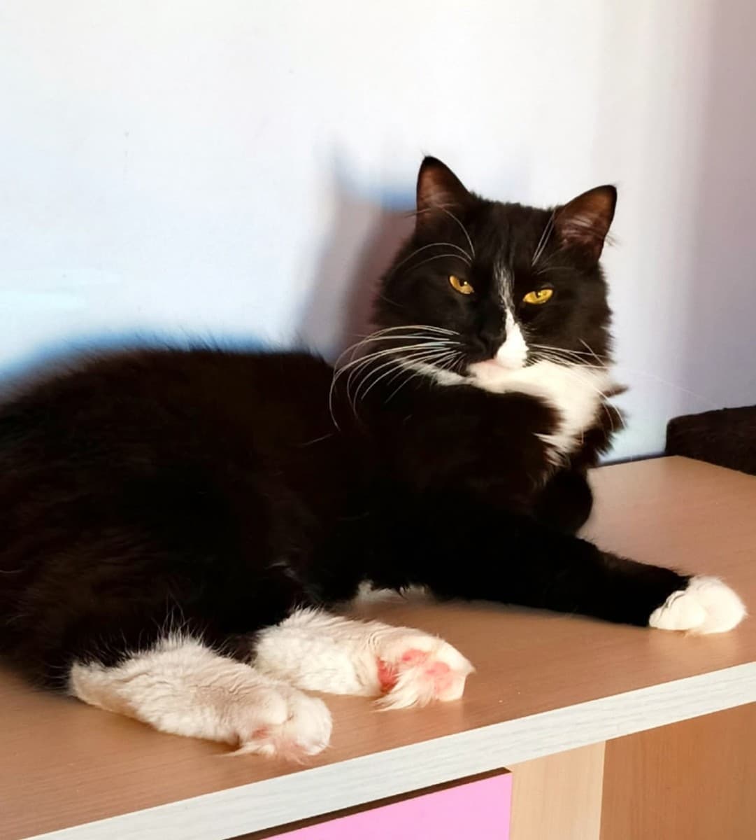 Филипп медиа 2