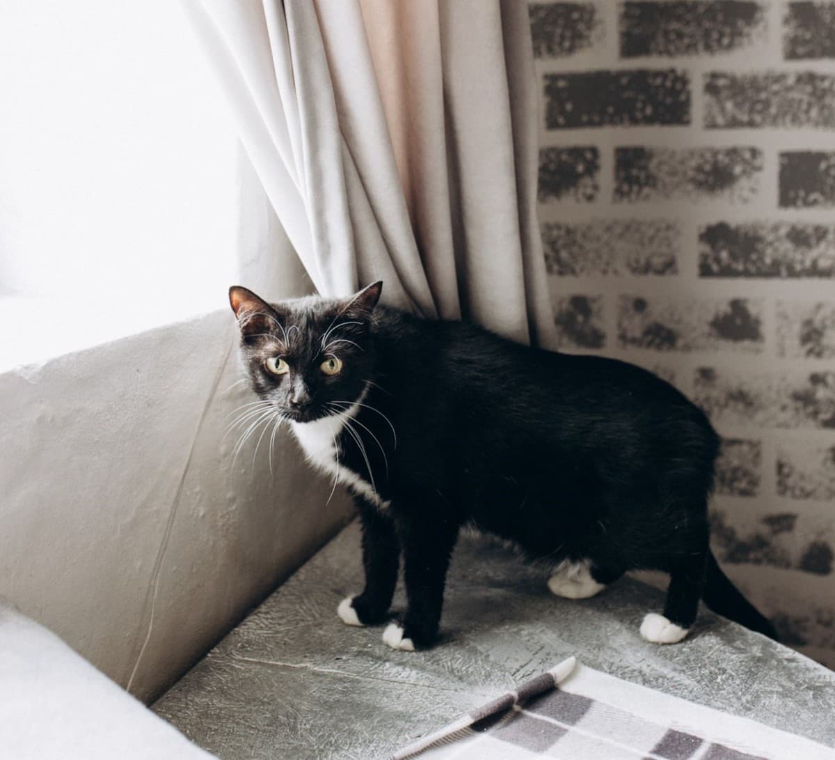 Нюша медиа 2