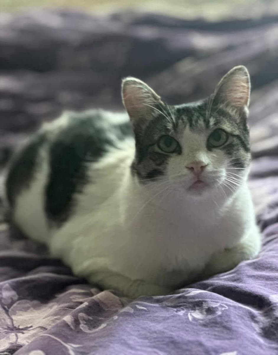 Степан медиа 3