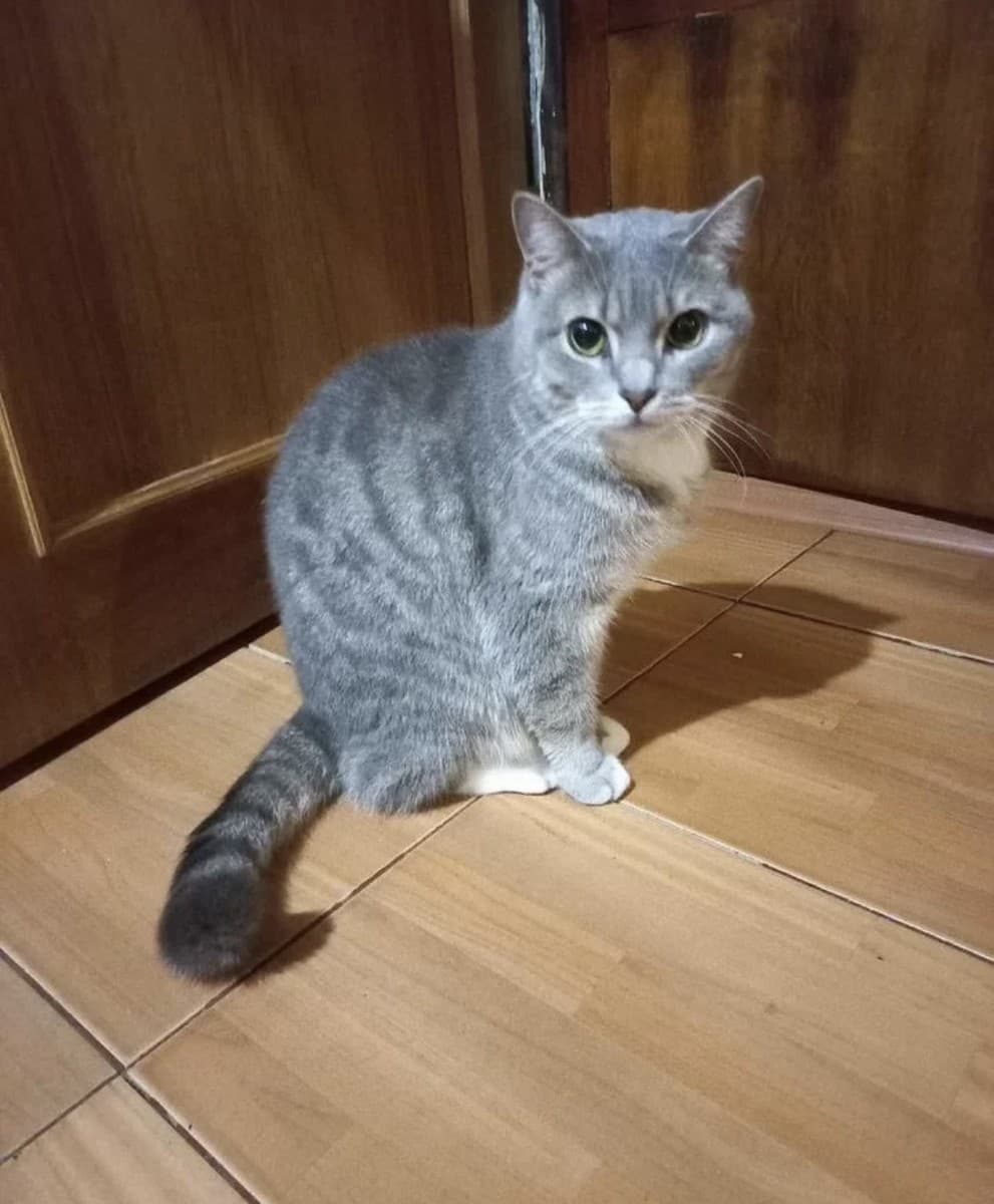 Маруся медиа 2