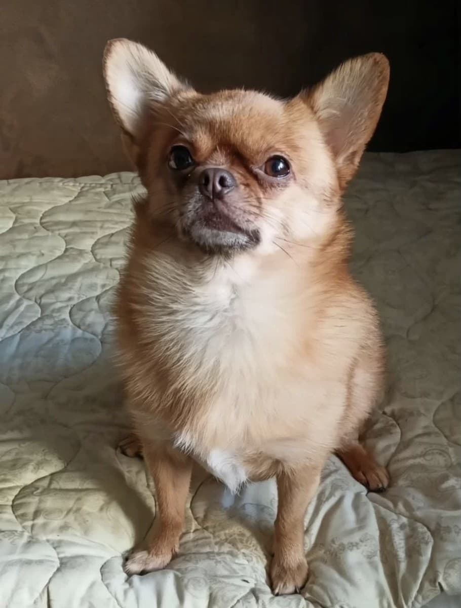 Тина медиа 2