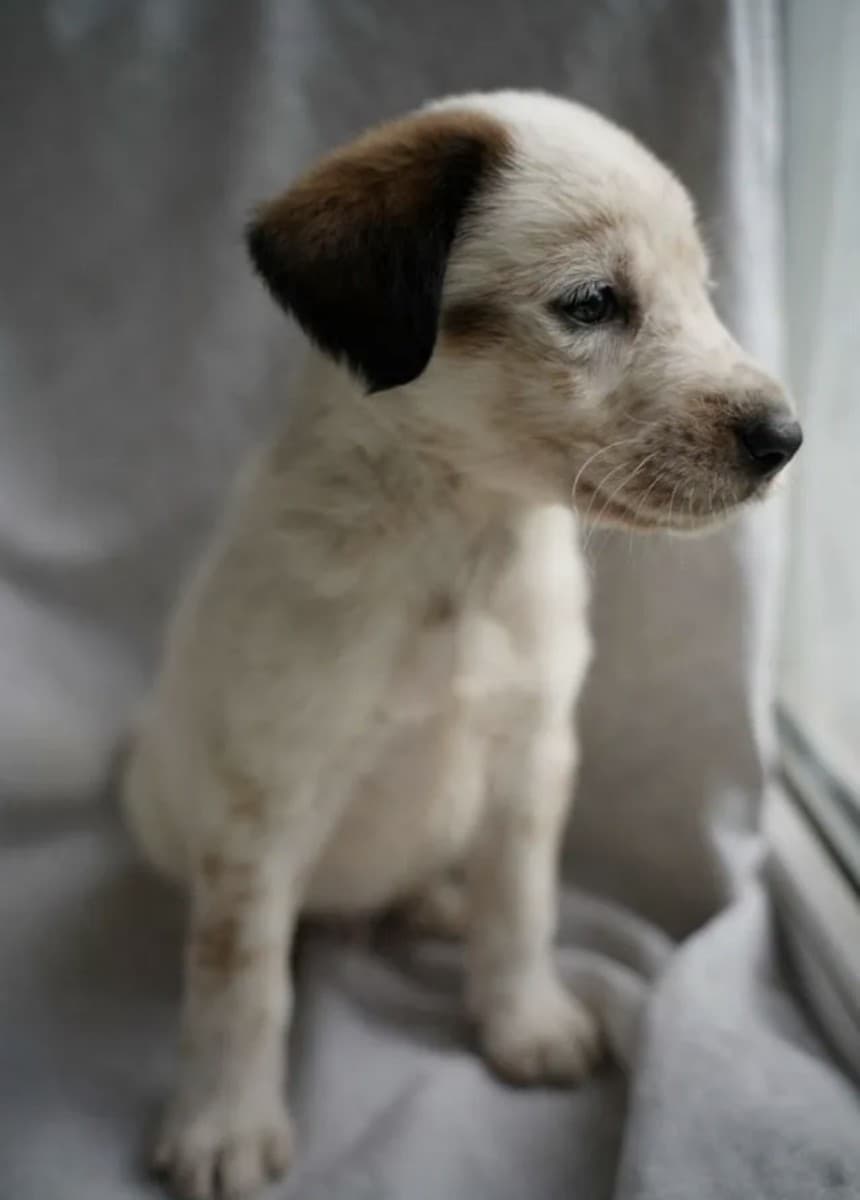 Бриз медиа 2