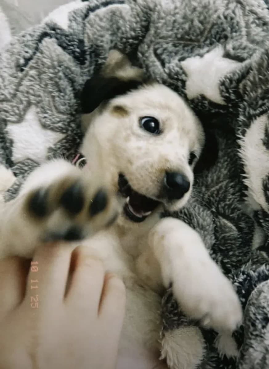 Бриз медиа 3