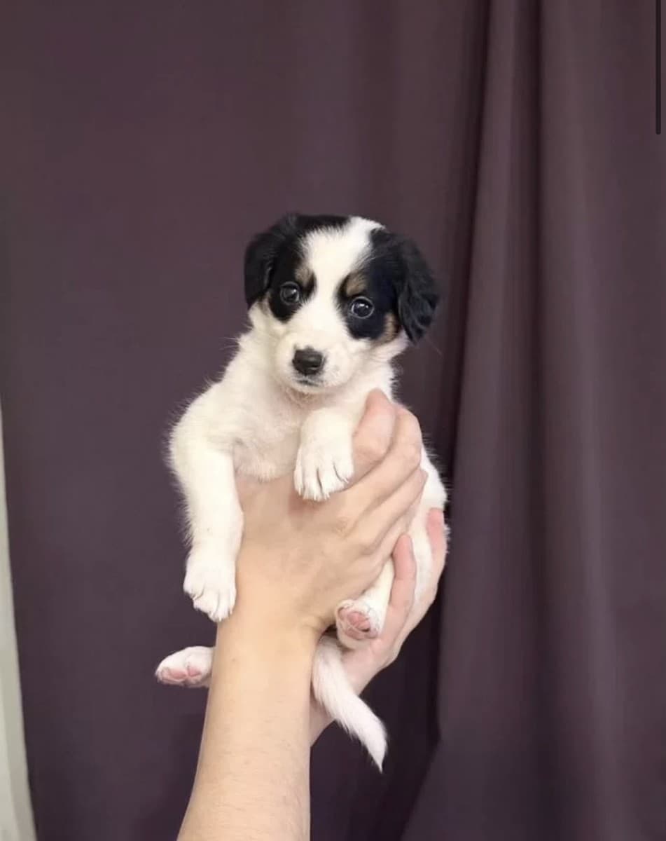 Бусинка медиа 2