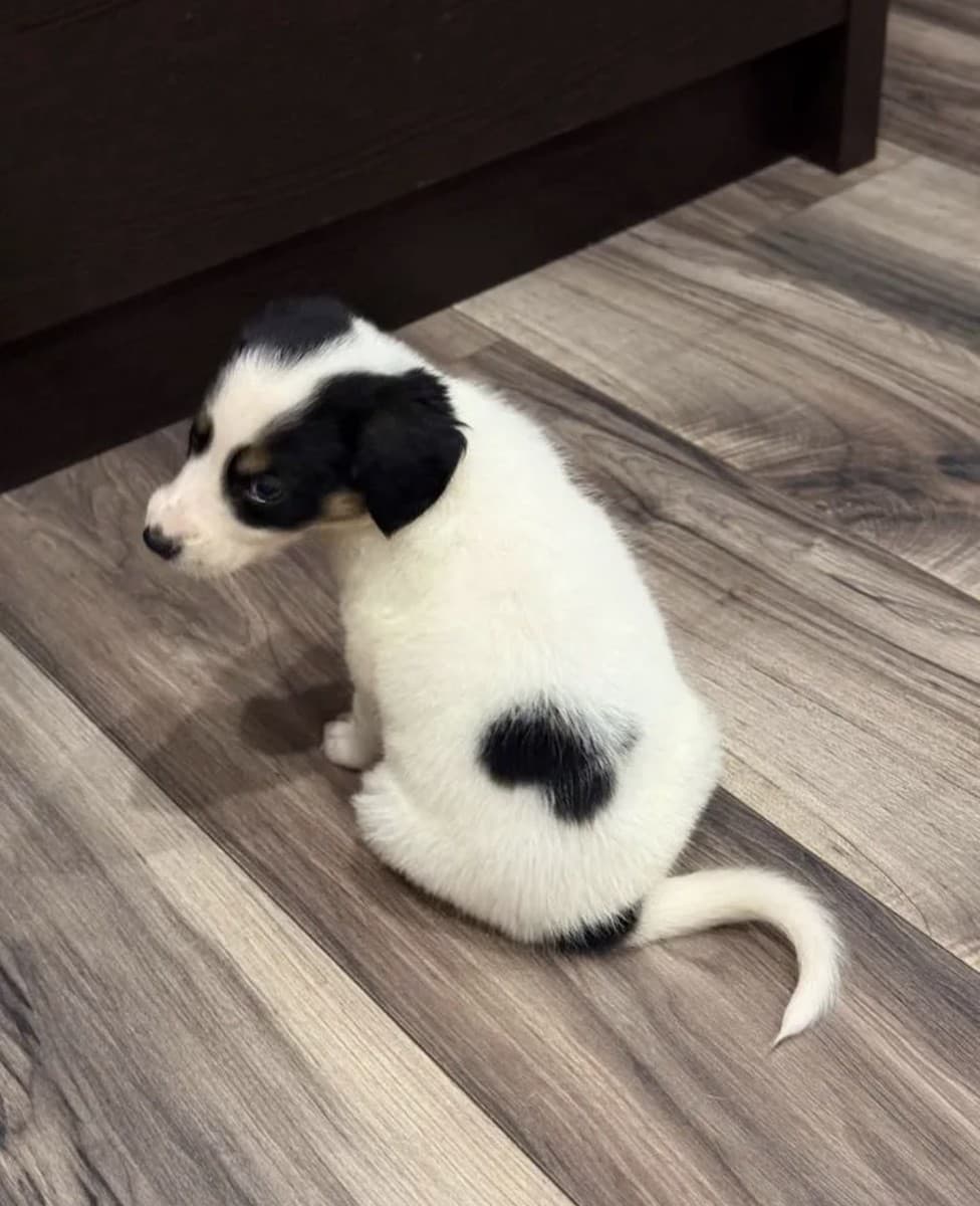 Бусинка медиа 3