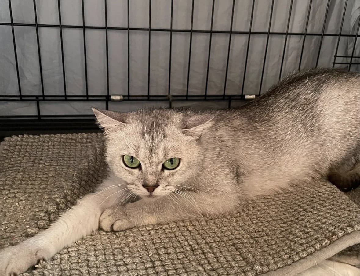 Мармеладка медиа 2