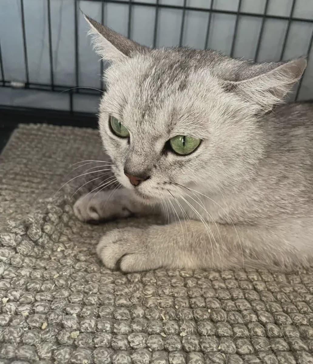 Мармеладка