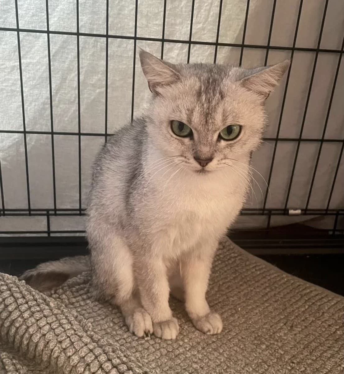 Мармеладка медиа 3