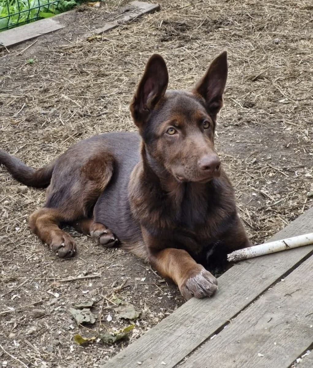 Граф медиа 2