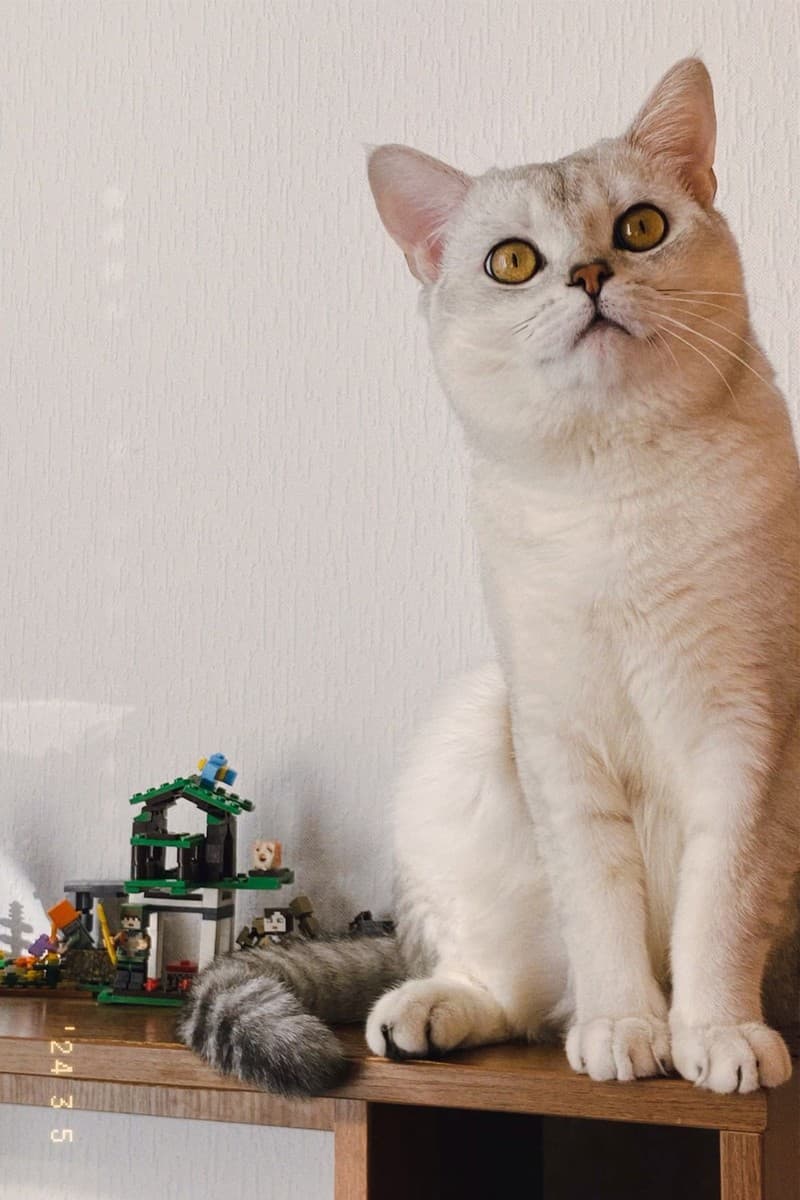 Снежка медиа 3