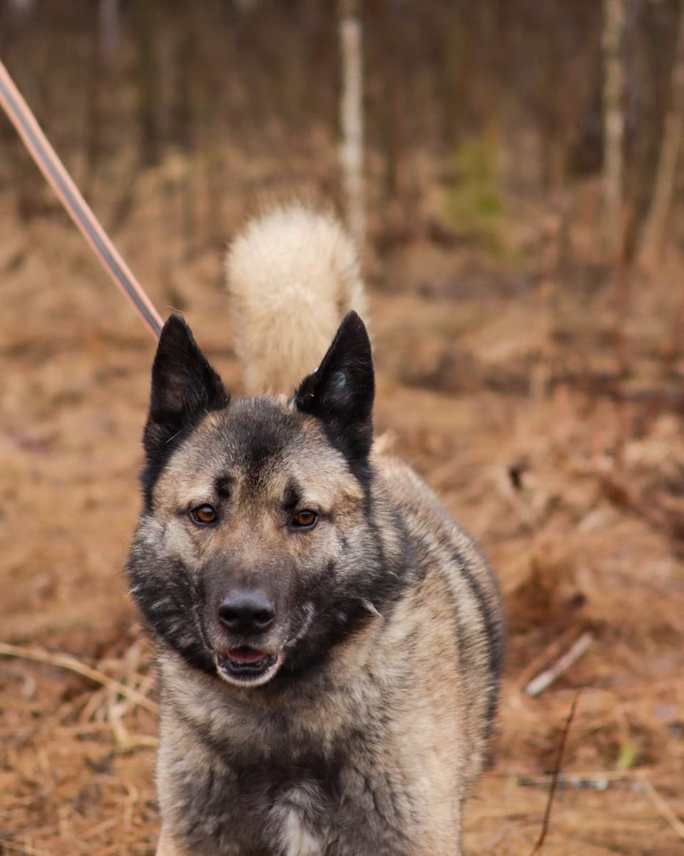 Граф медиа 6