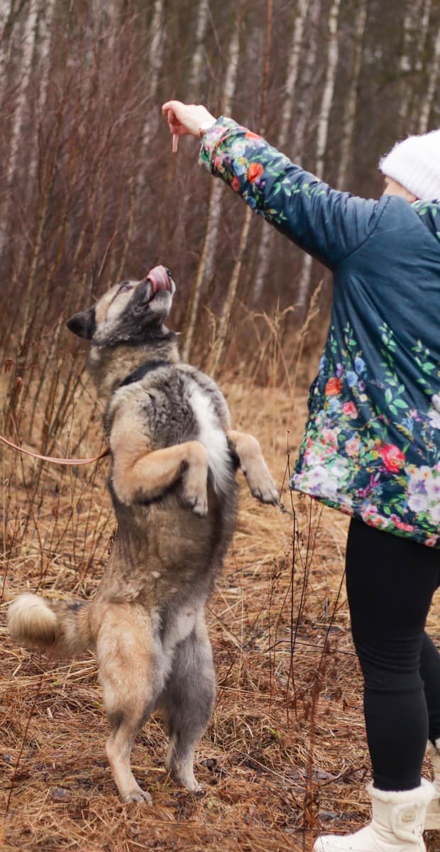 Граф медиа 5