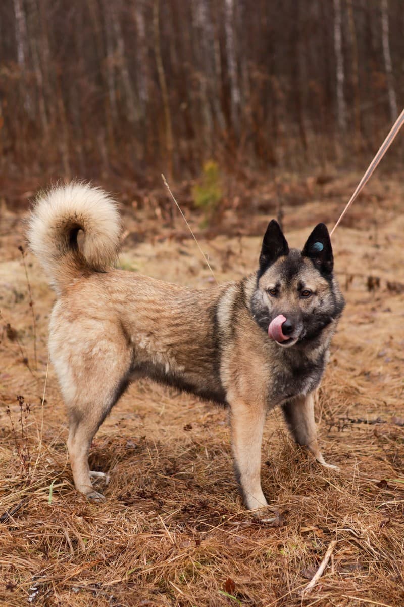 Граф медиа 8