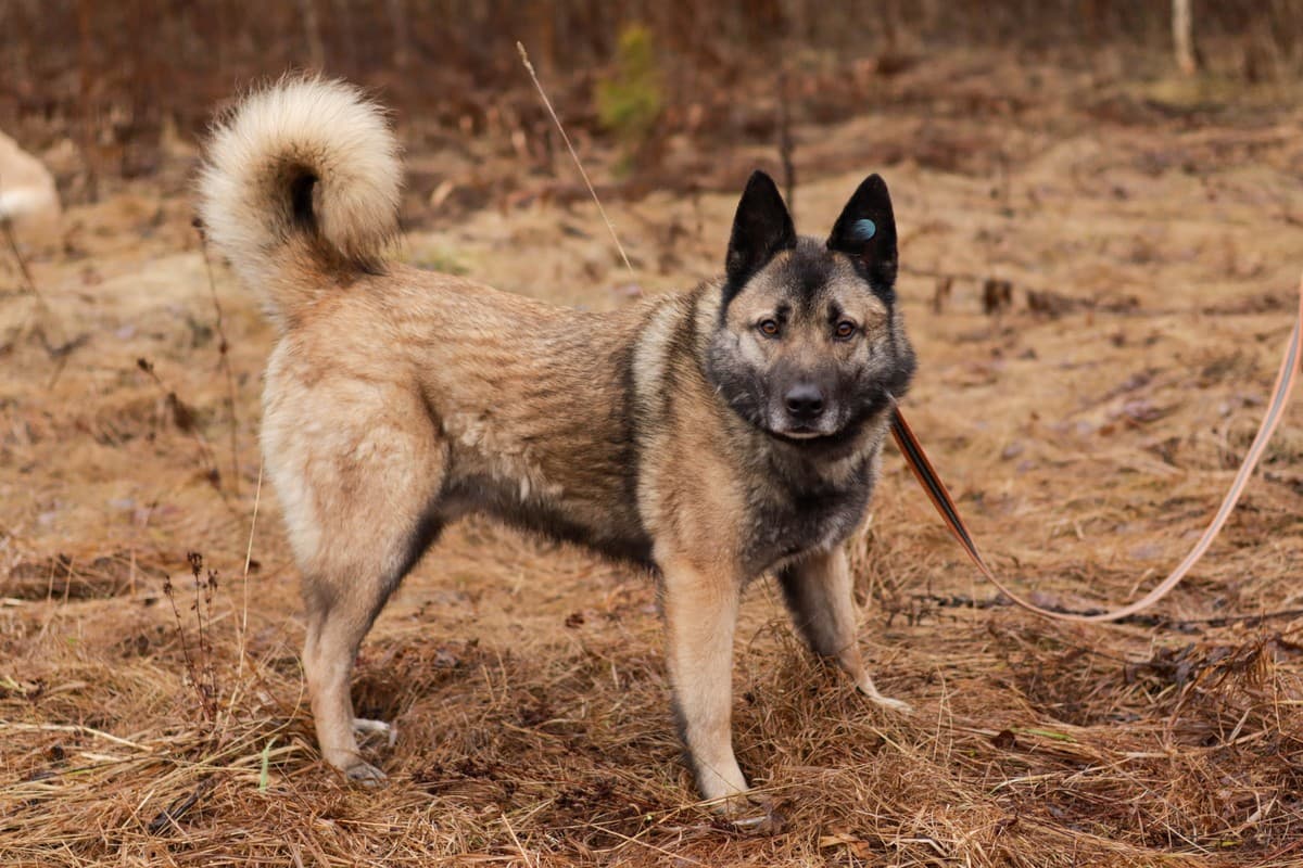 Граф медиа 7